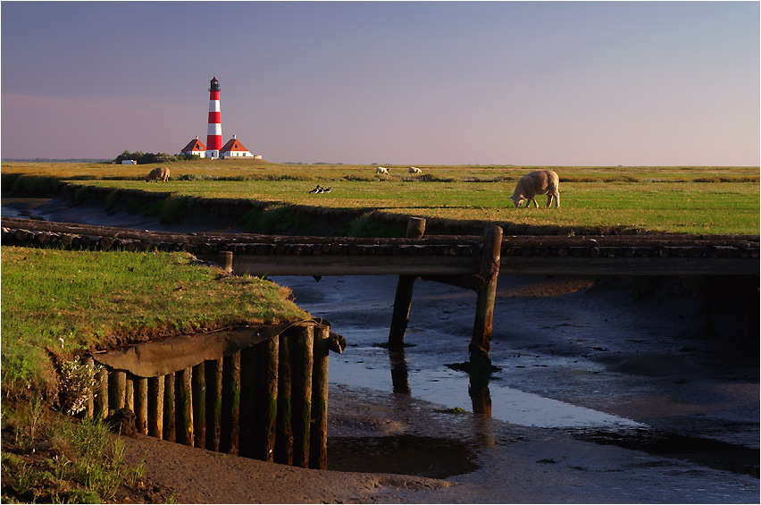 Westerhever