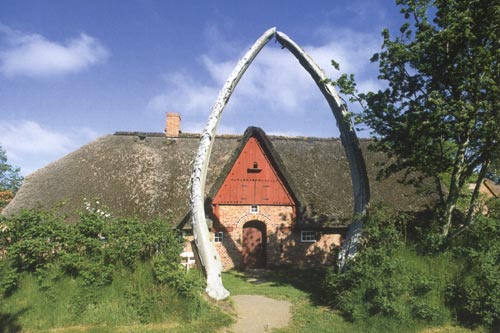 Haus mit Walknochen