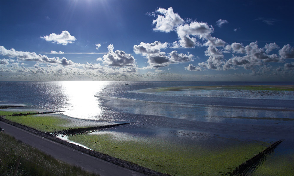 Wattenmeer